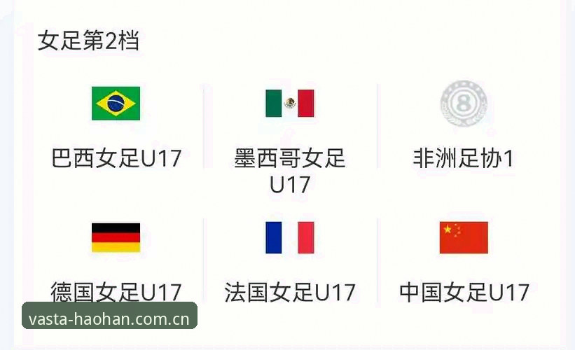 掌握U17世界杯观赛技巧,从抽签解析到赛事追踪的实用指南